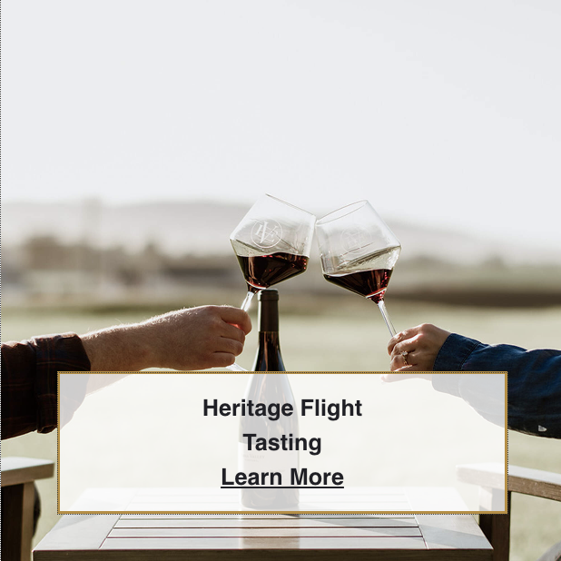 Tasting Room Edna Valley Vineyard